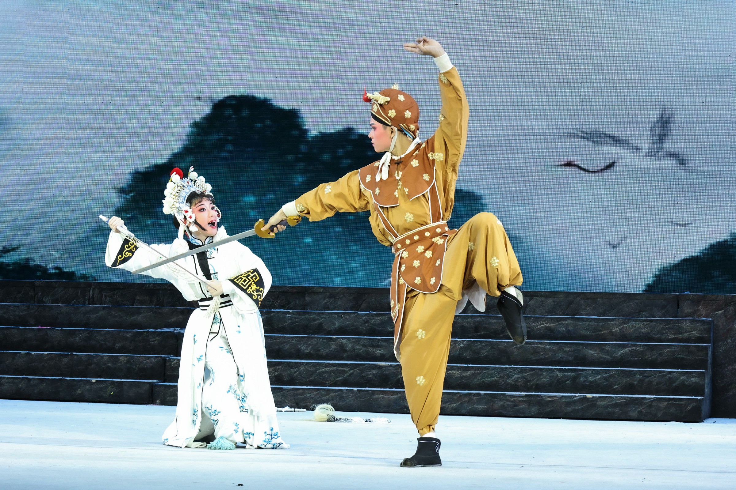 1678430916895510.jpg 1678430916895510.jpg