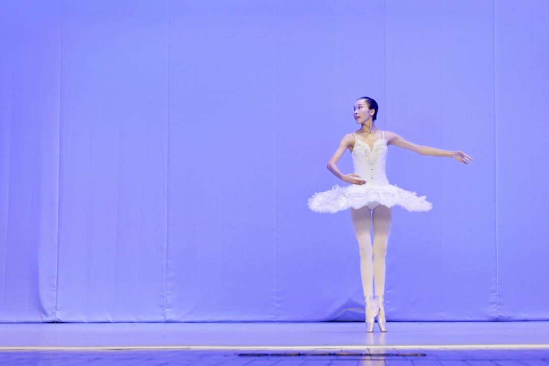 1672970443216417.jpg 1672970443216417.jpg