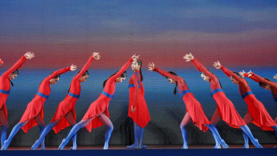 1668134754329005.gif 1668134754329005.gif